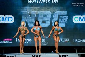 WELLNESS 163